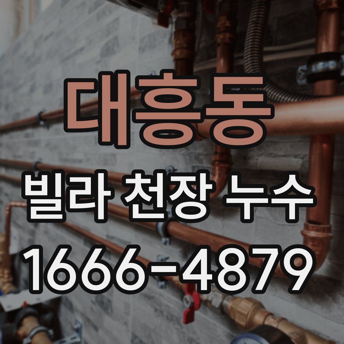 대흥동 빌라 천장 누수
