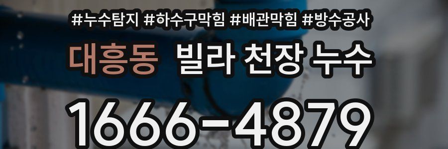 대흥동 빌라 천장 누수