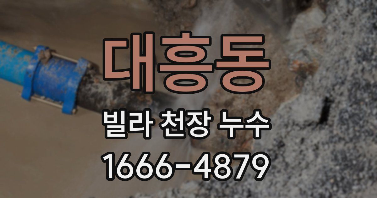 대흥동 빌라 천장 누수