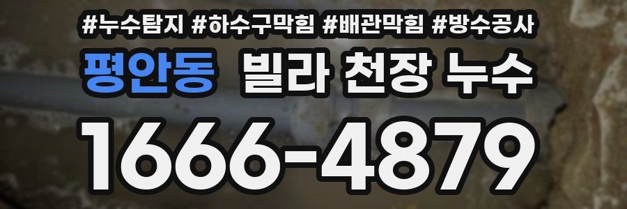 평안동 빌라 천장 누수