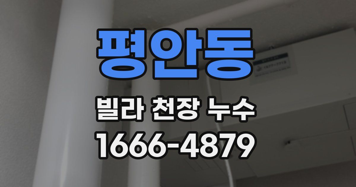 평안동 빌라 천장 누수