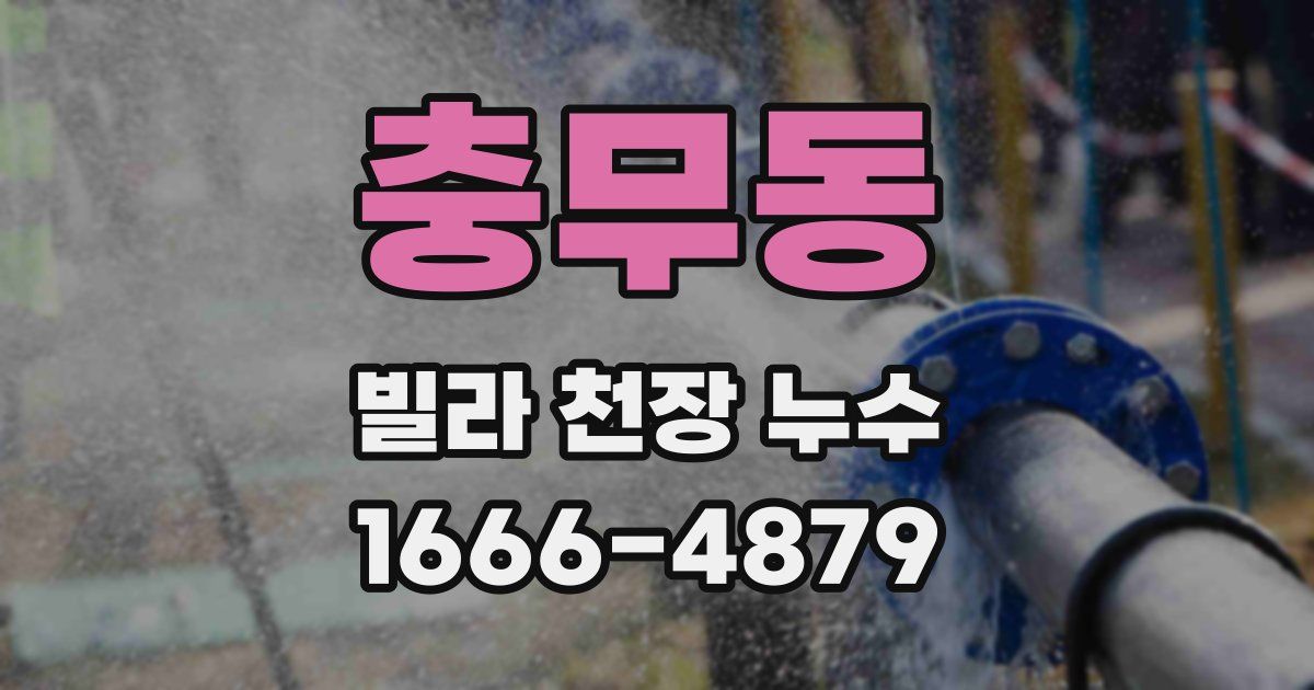 충무동 빌라 천장 누수
