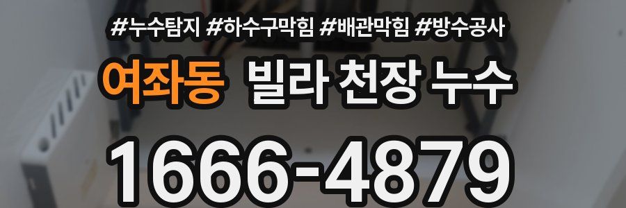 여좌동 빌라 천장 누수