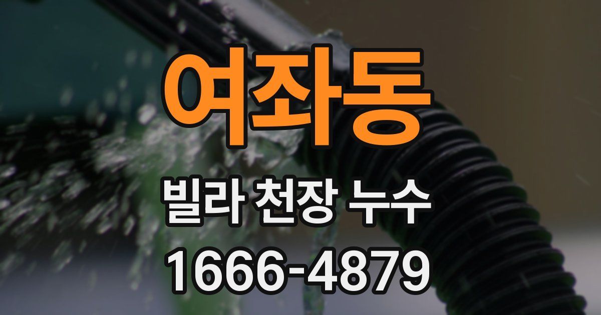 여좌동 빌라 천장 누수