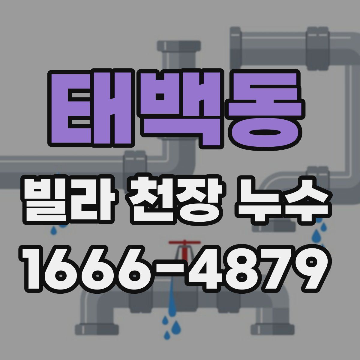 태백동 빌라 천장 누수
