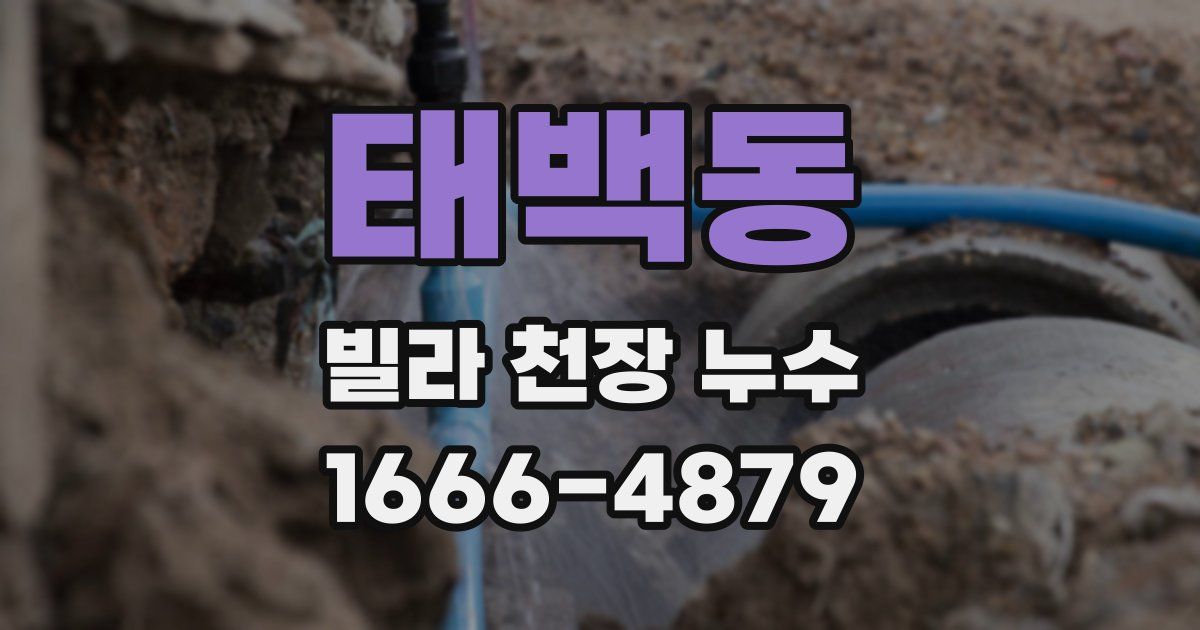 태백동 빌라 천장 누수