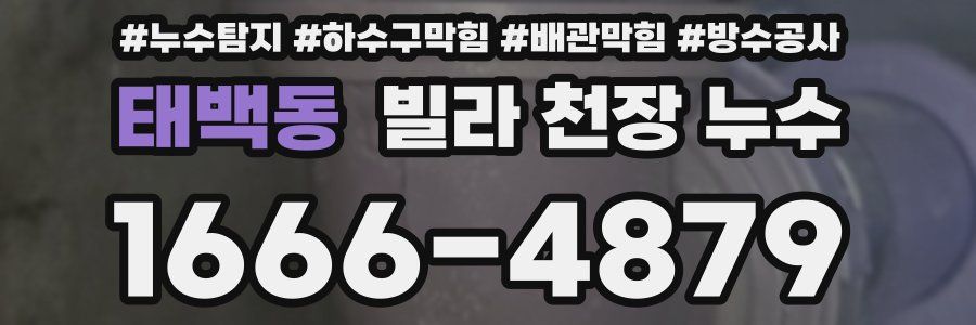 태백동 빌라 천장 누수