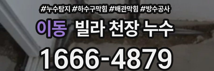 이동 빌라 천장 누수