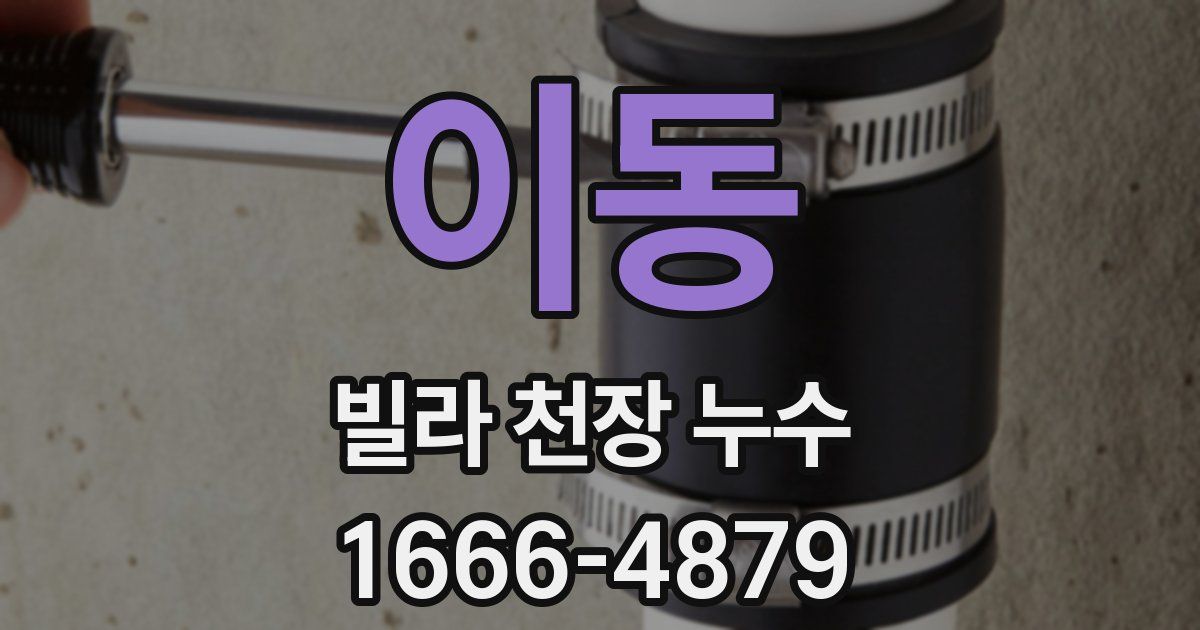 이동 빌라 천장 누수