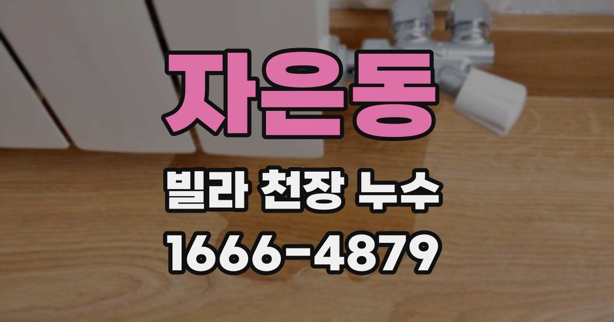 자은동 빌라 천장 누수