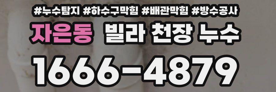 자은동 빌라 천장 누수