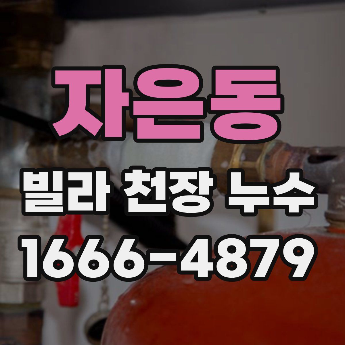 자은동 빌라 천장 누수