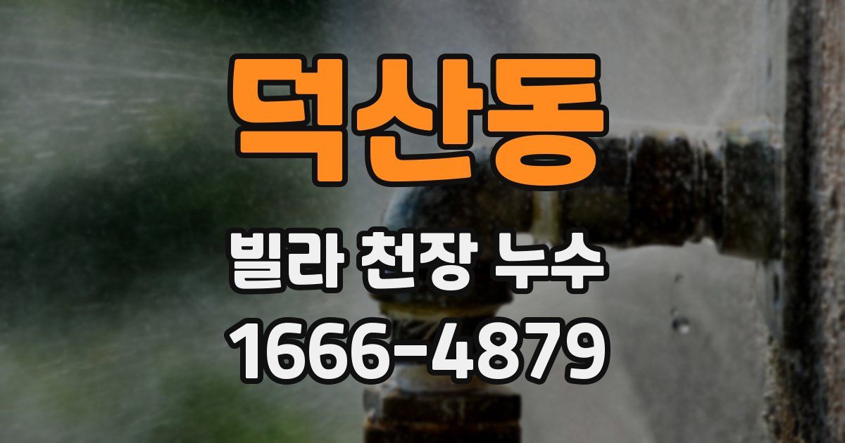 덕산동 빌라 천장 누수