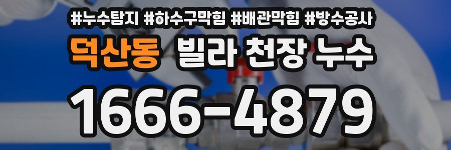 덕산동 빌라 천장 누수