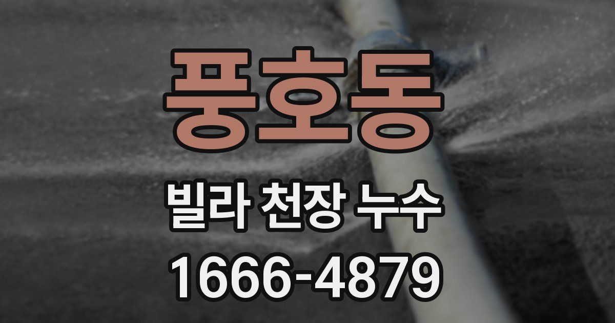 풍호동 빌라 천장 누수