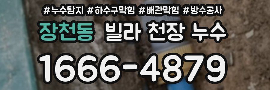 장천동 빌라 천장 누수