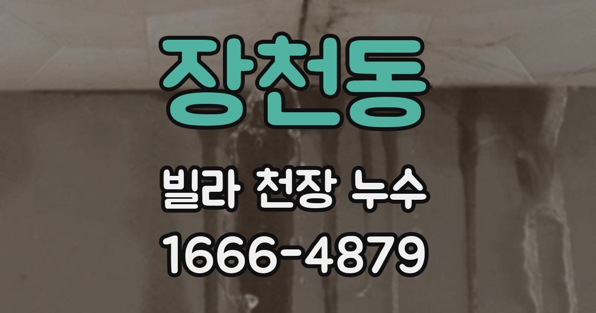 장천동 빌라 천장 누수
