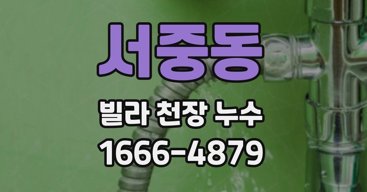 서중동 빌라 천장 누수