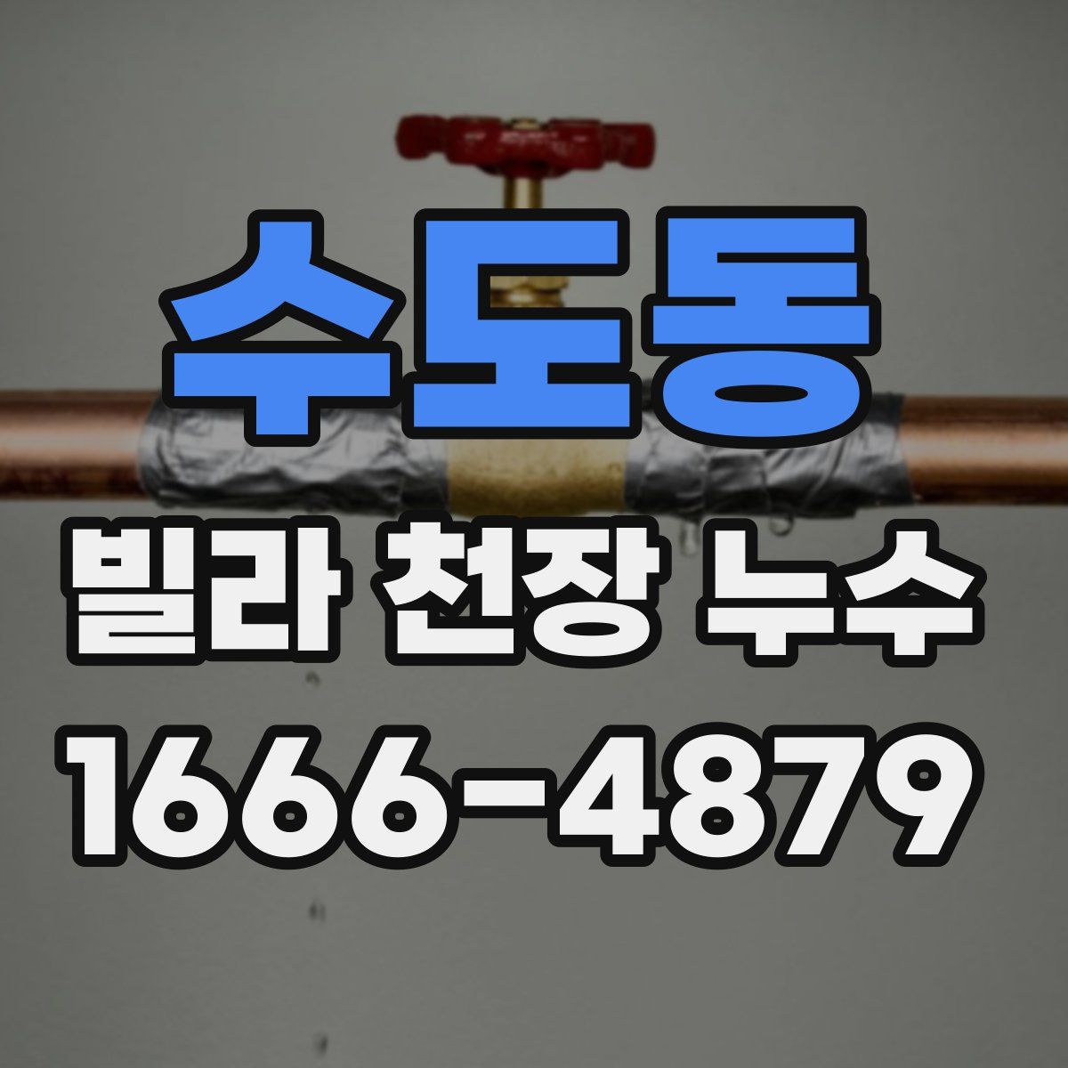 수도동 빌라 천장 누수