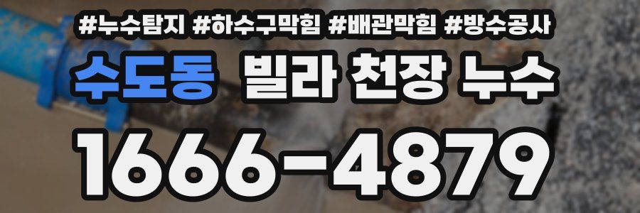 수도동 빌라 천장 누수