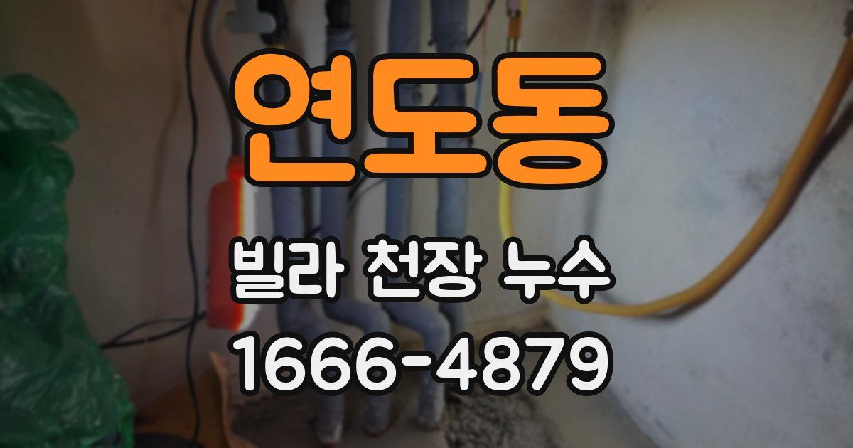 연도동 빌라 천장 누수