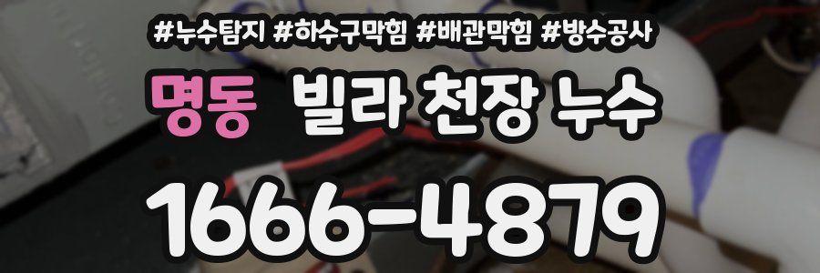명동 빌라 천장 누수