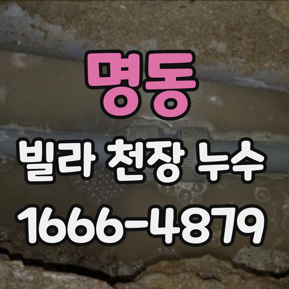 명동 빌라 천장 누수