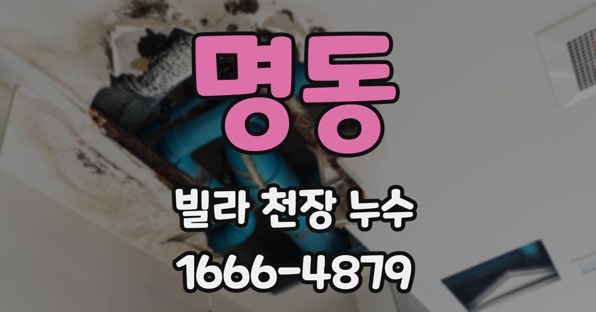 명동 빌라 천장 누수
