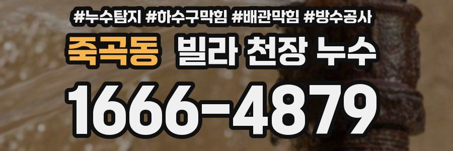 죽곡동 빌라 천장 누수