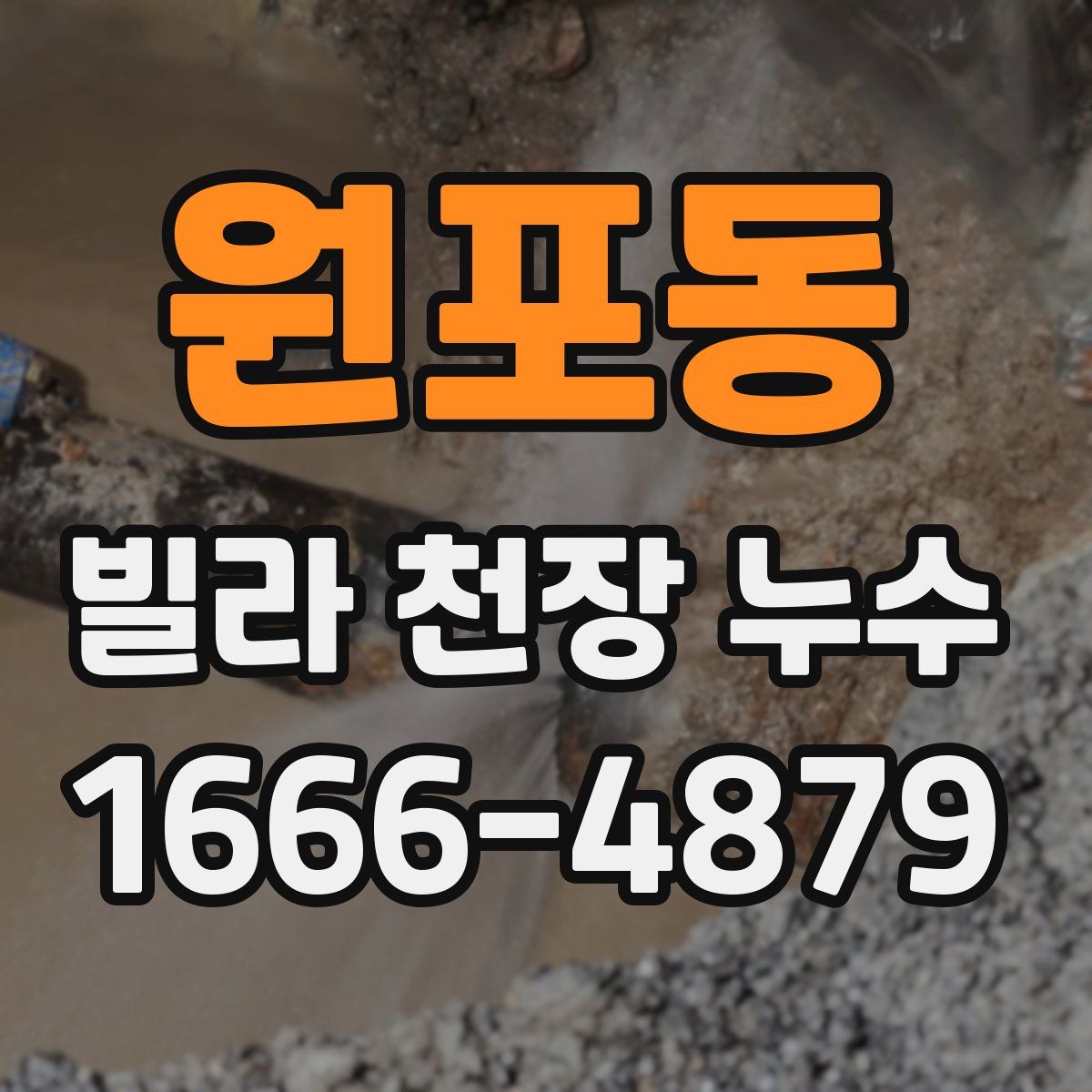 원포동 빌라 천장 누수