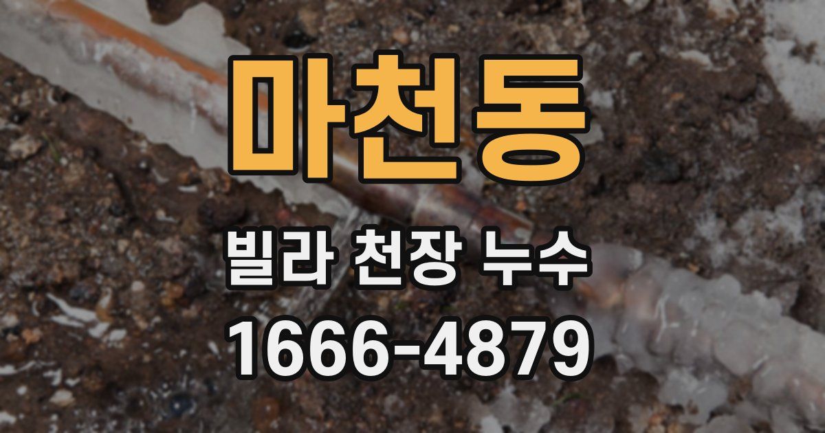 마천동 빌라 천장 누수