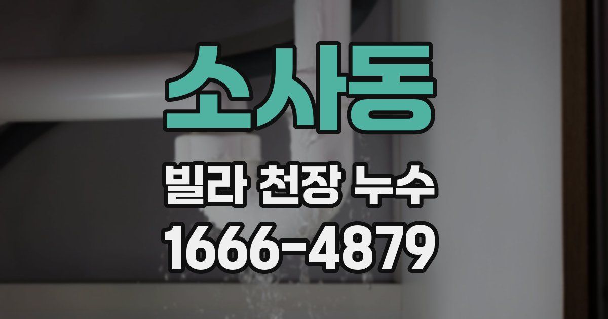 소사동 빌라 천장 누수