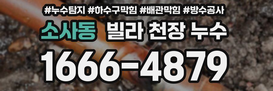 소사동 빌라 천장 누수