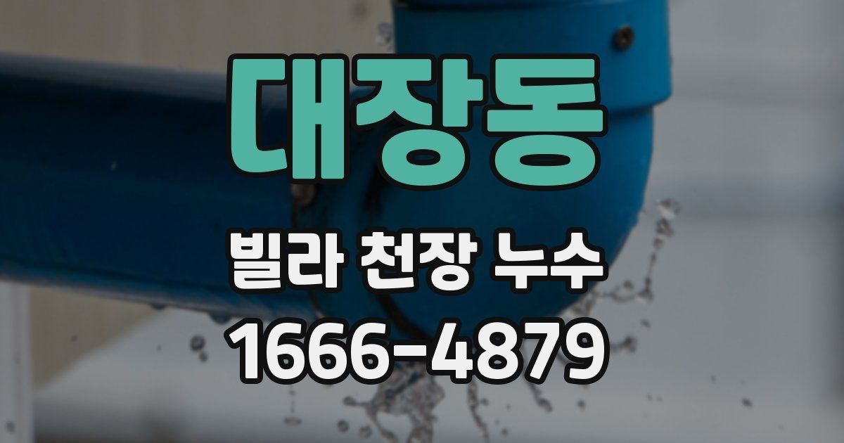 대장동 빌라 천장 누수