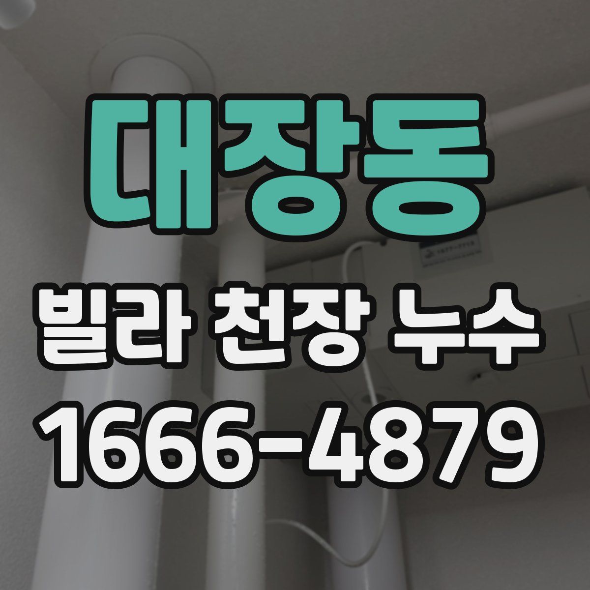 대장동 빌라 천장 누수