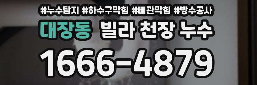 대장동 빌라 천장 누수