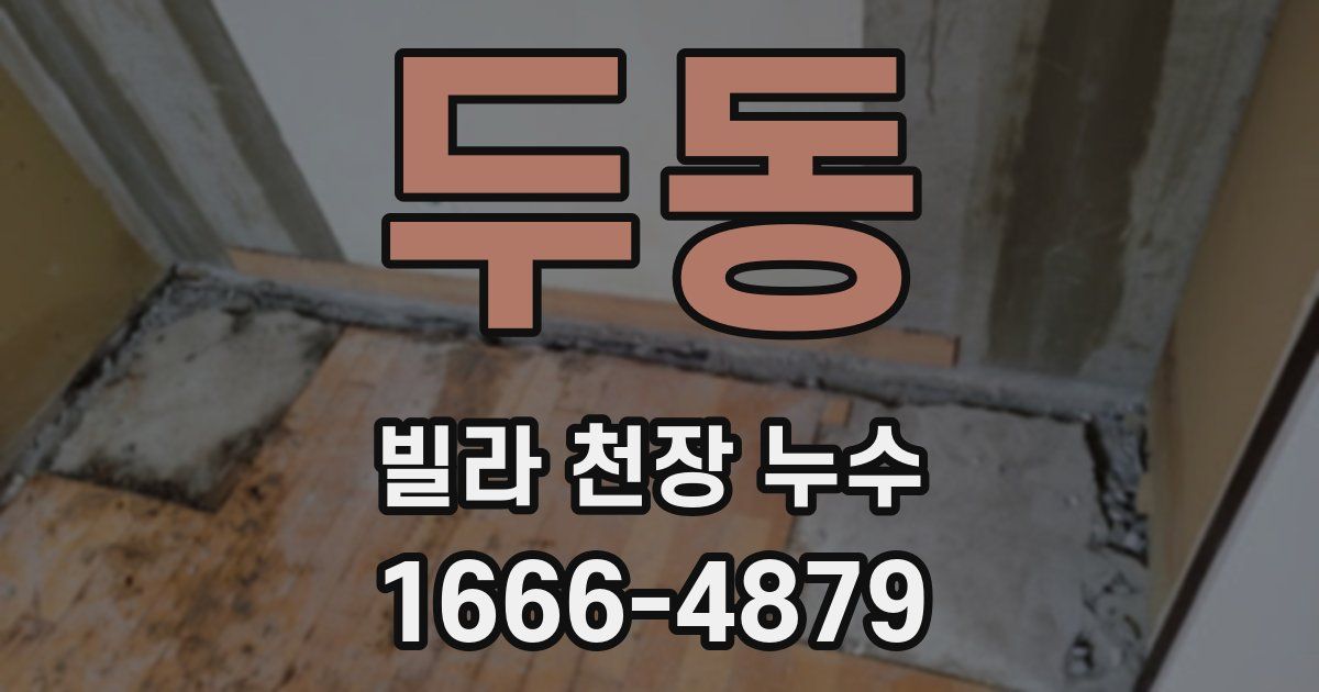 두동 빌라 천장 누수