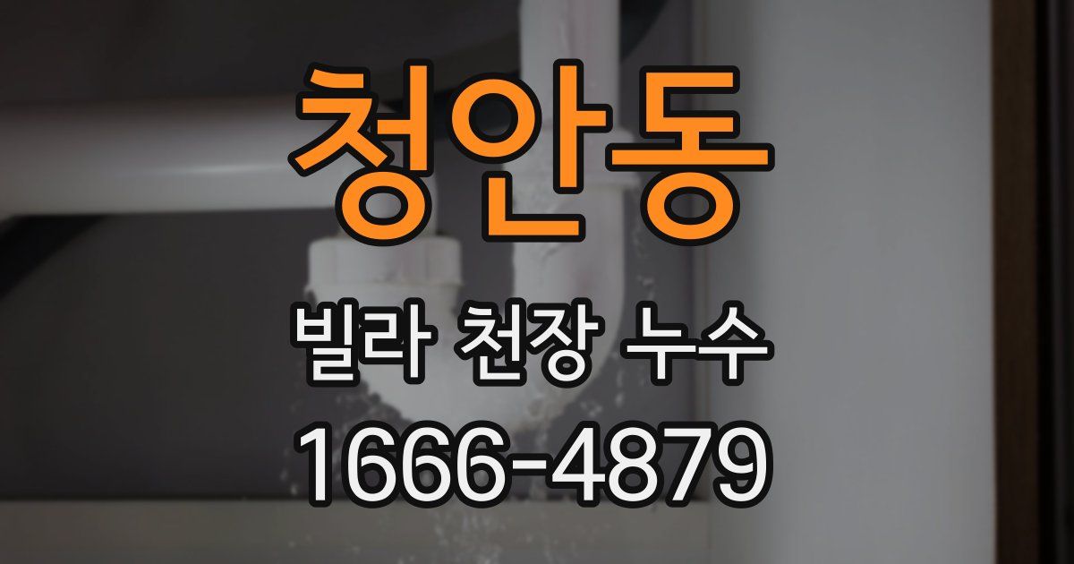 청안동 빌라 천장 누수