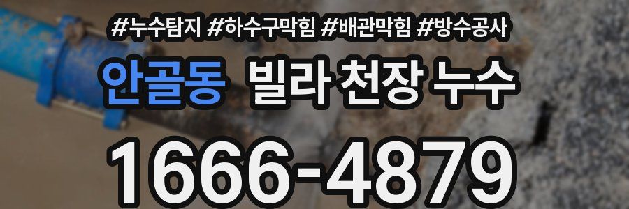 안골동 빌라 천장 누수
