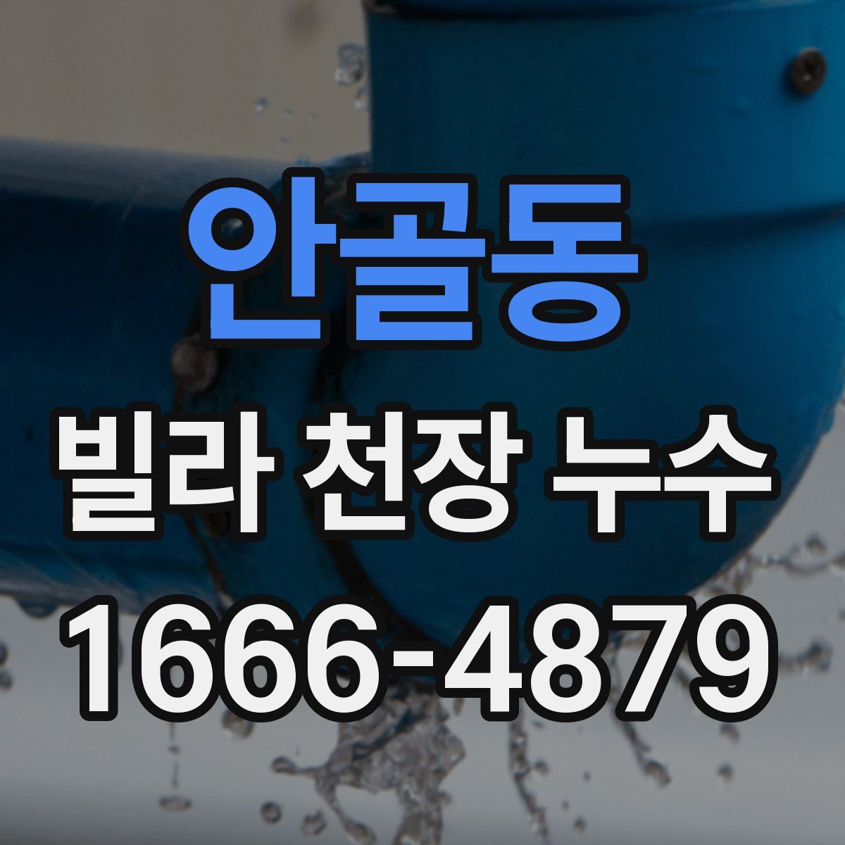 안골동 빌라 천장 누수