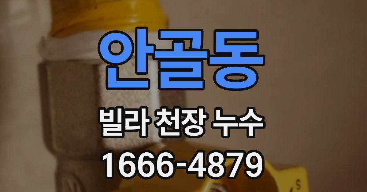 안골동 빌라 천장 누수