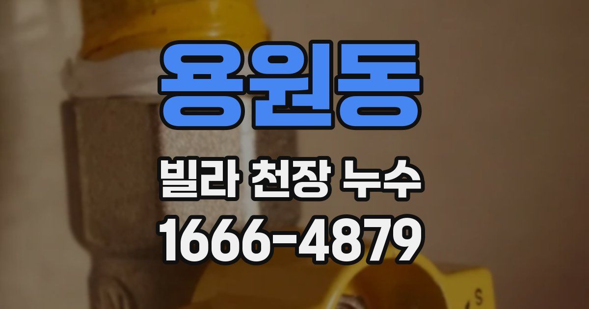 용원동 빌라 천장 누수