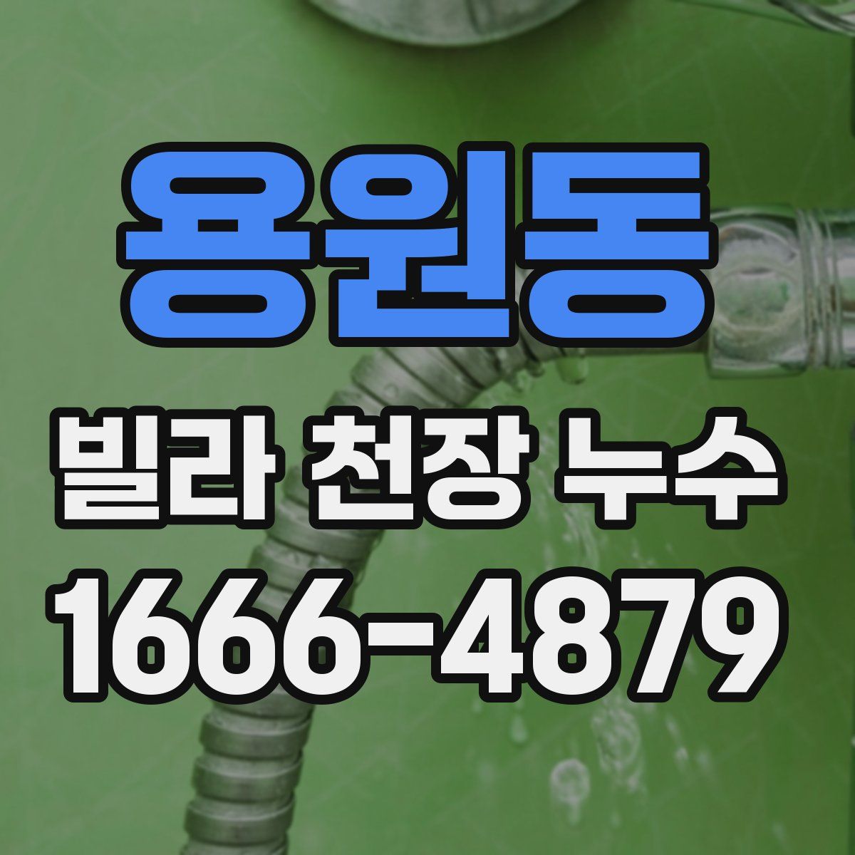 용원동 빌라 천장 누수