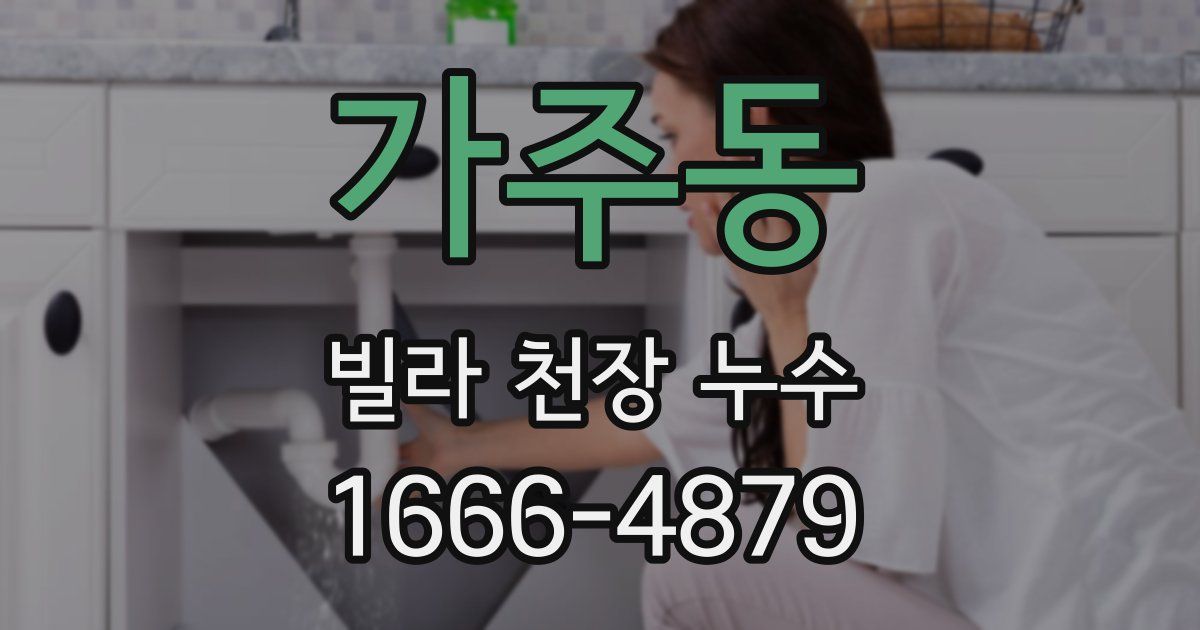 가주동 빌라 천장 누수