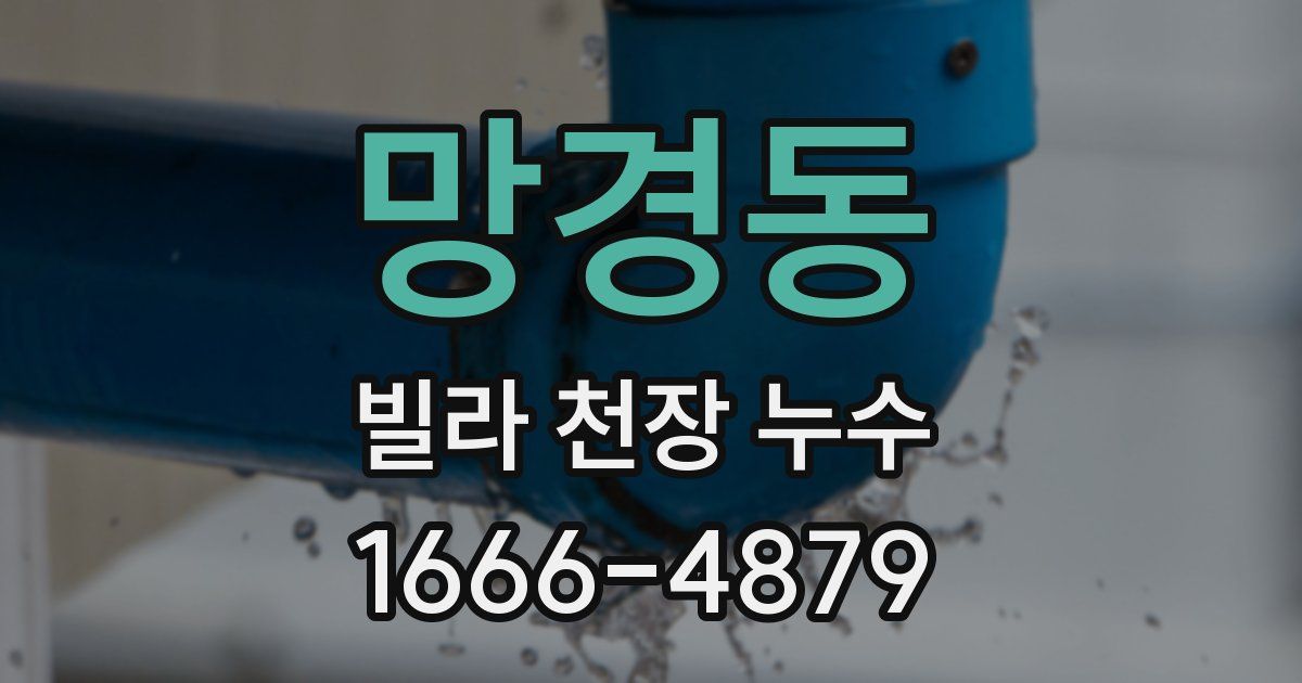 망경동 빌라 천장 누수