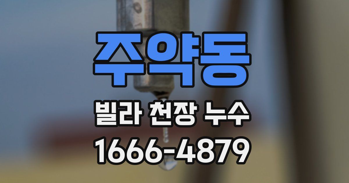 주약동 빌라 천장 누수