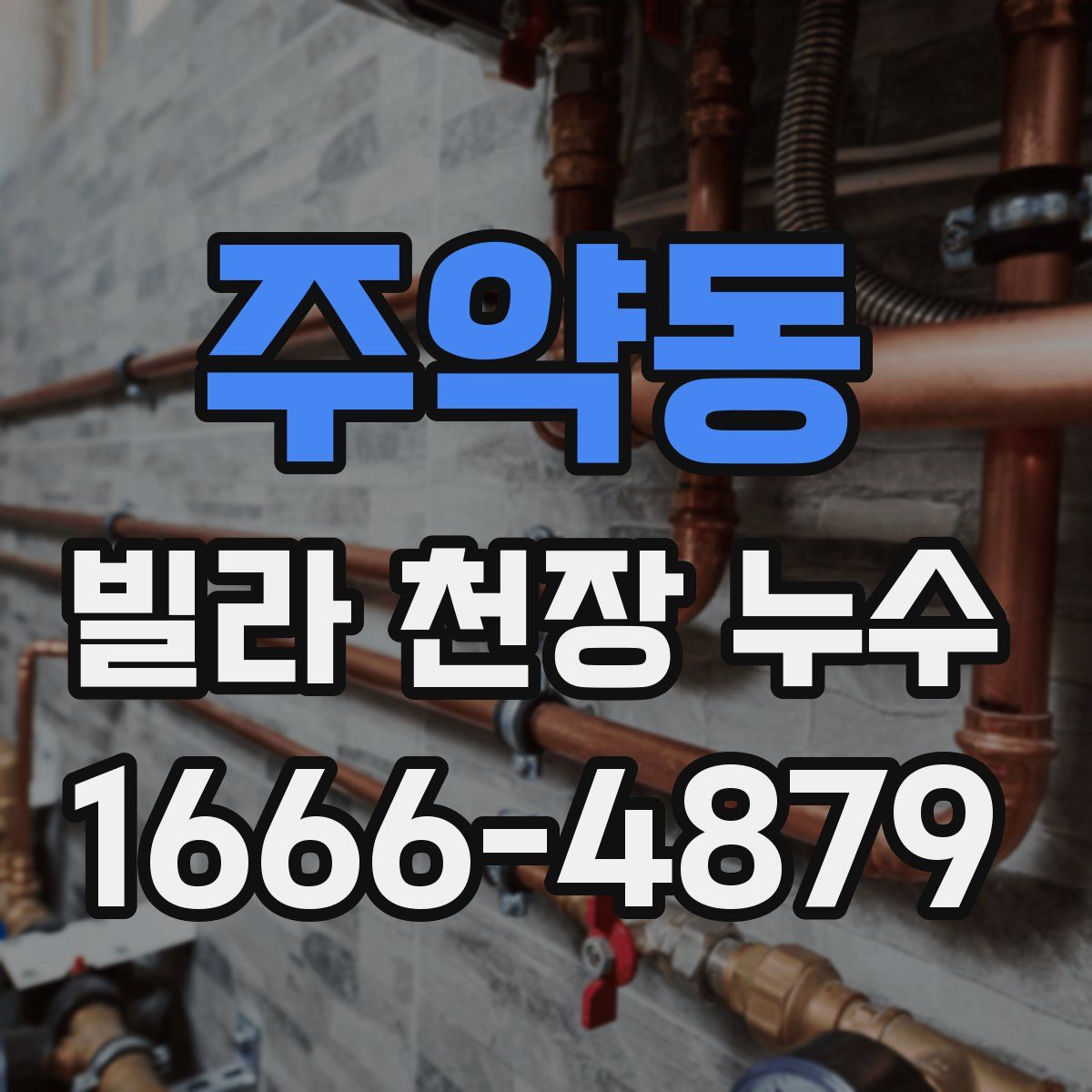 주약동 빌라 천장 누수