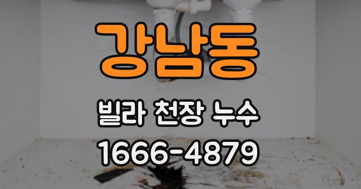강남동 빌라 천장 누수