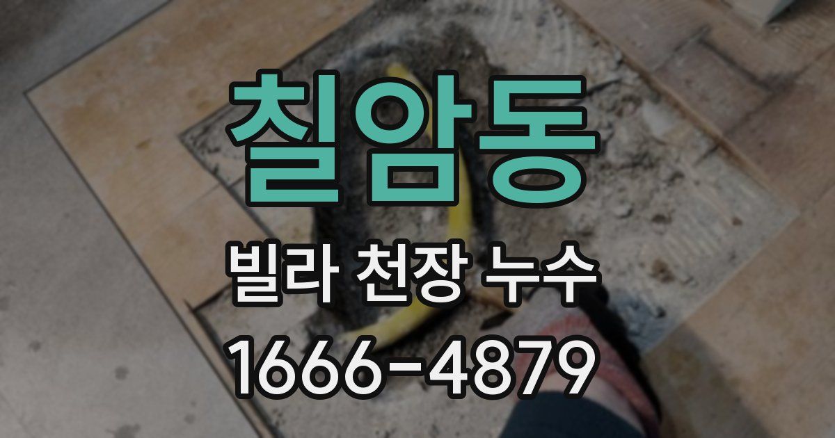 칠암동 빌라 천장 누수