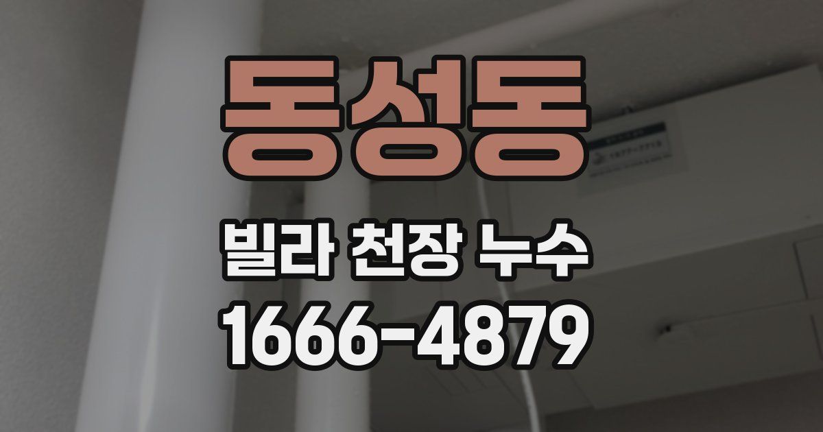 동성동 빌라 천장 누수